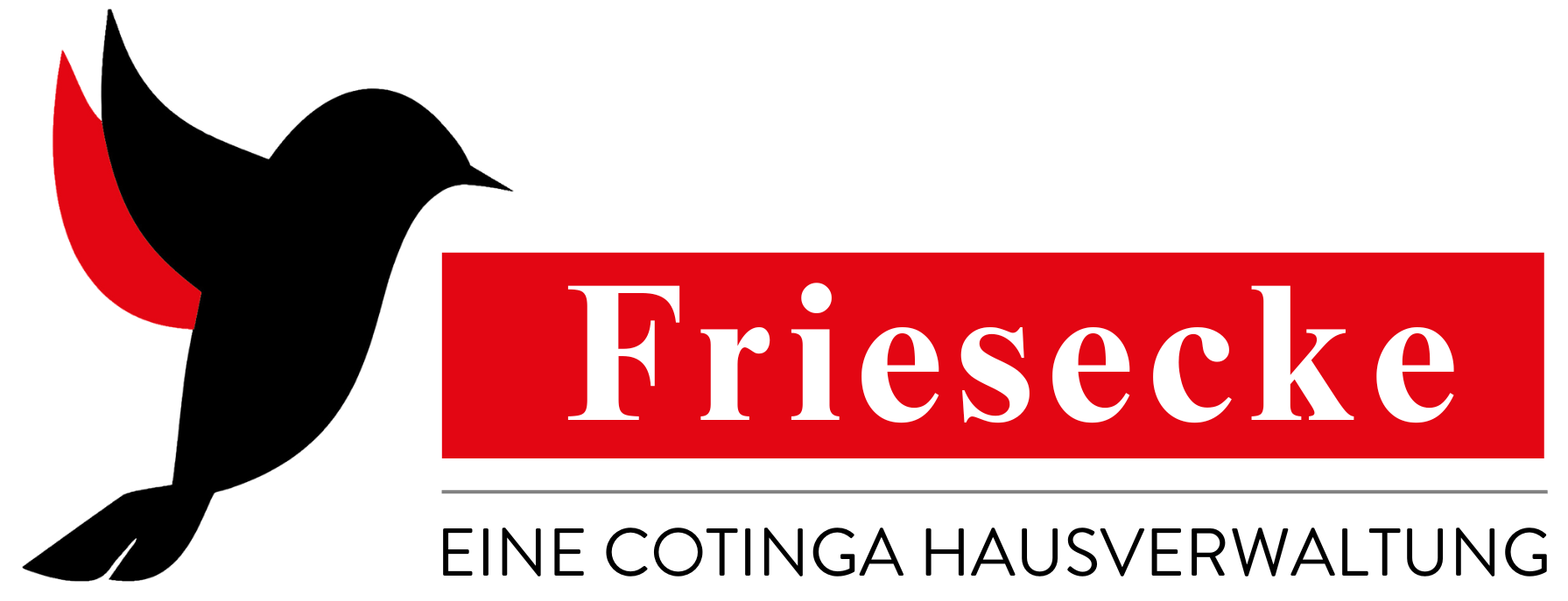 Friesecke